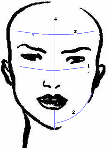Online Makeup on How To Determine Your Face Shape
