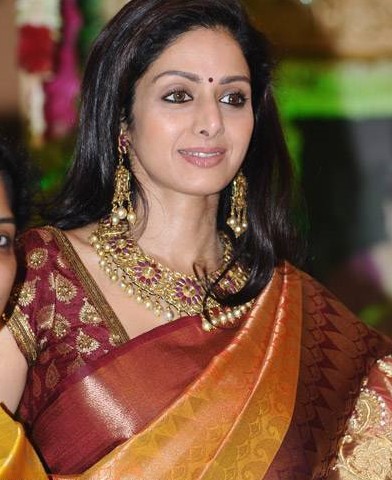 Wedding Makeup on Sridevi Kanjeevaram Sari Tips To Preserve Silk Sarees   My Silk Saree