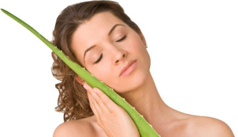 aloe vera benefits Aloe Vera: Beauty Benefits