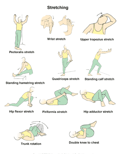 Stretching Exercises 