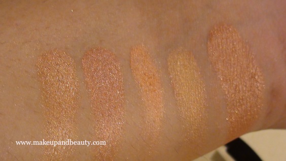 The Body Shop Cheek and Face Powder - Chestnut Swatches