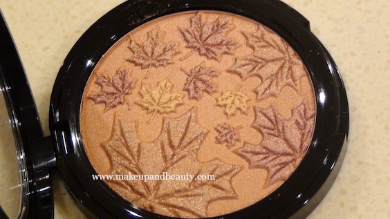 The Body Shop Cheek and Face Powder - Chestnut