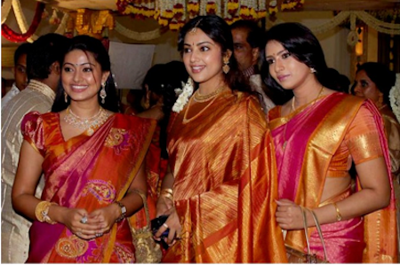 Indian Dressing Saree