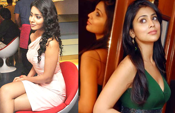 shriya saran beautiful south indian actresses