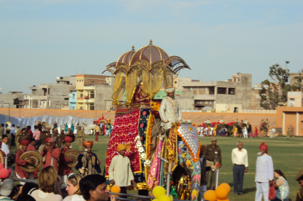 jaipur elephant festival