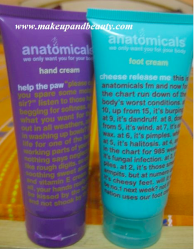 anatomicals hand and foot cream