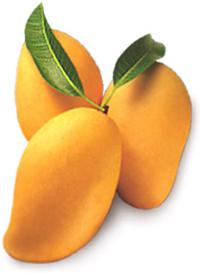 mango skin