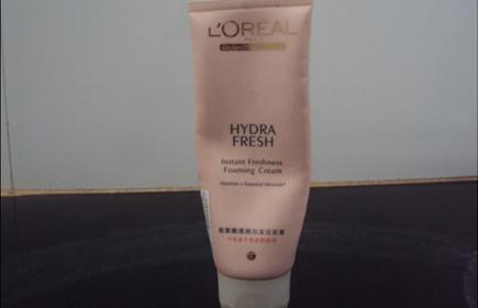 Loreal Hydra Fresh Instant Foaming Cream