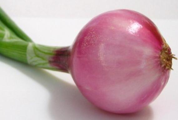 Onion for common ailments