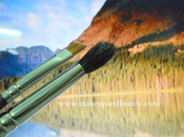 Vega Professional Makeup Brushes Pb08 and Pb15 Review