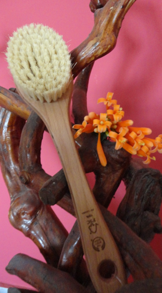 optager rigtig meget Rundt om The Body Shop Cactus Body Brush Review