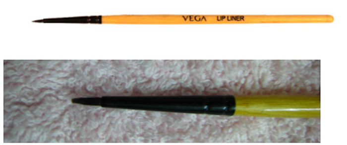 vega lip liner brush