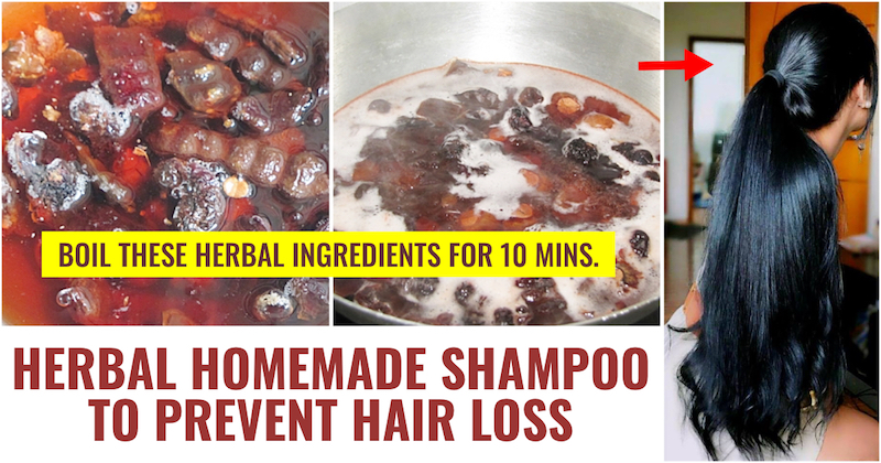 Herbal Homemade Shampoo