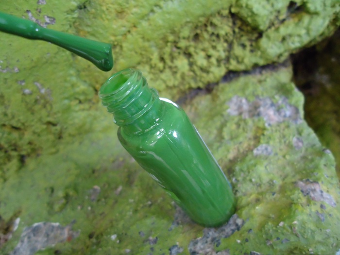 Verde Palmeria 3