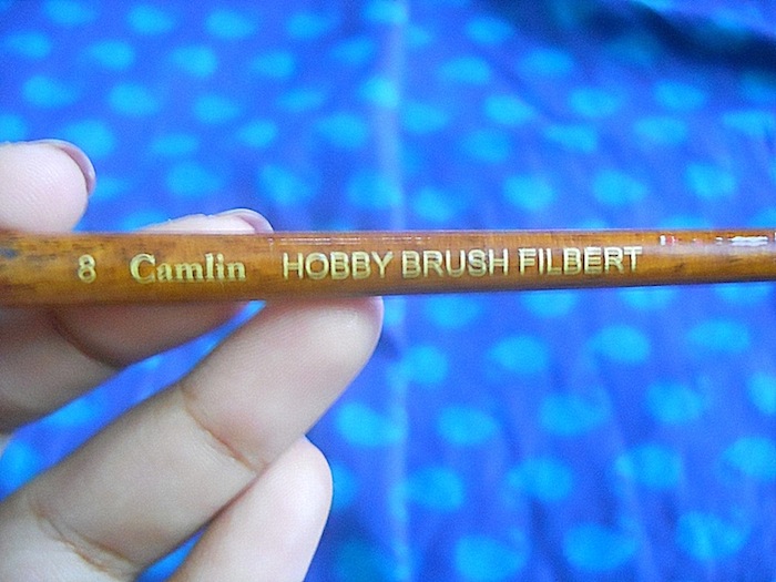Camlin hobby brush “filbert”#8: 