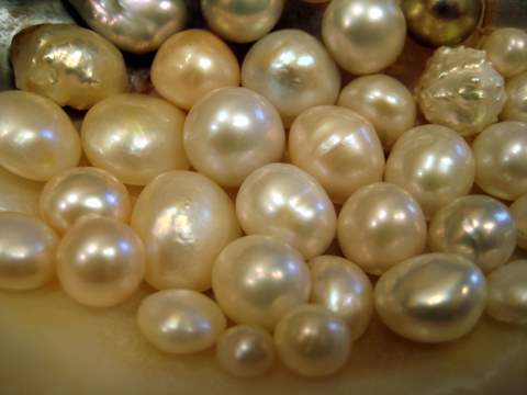 Freshwater Natural Pearls
