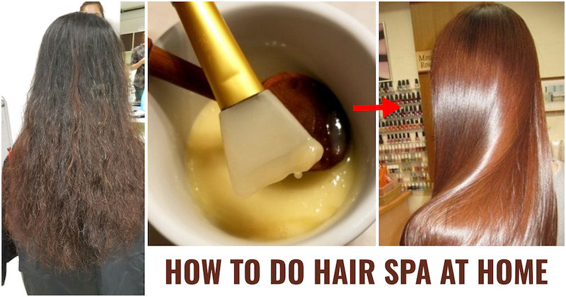 Natural Hair Spa Treatment at Home - DIY