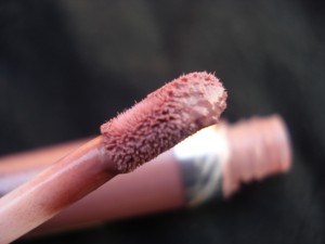 colorbar extra durable lip color rosette2