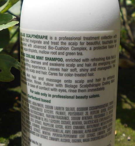 shampoo description