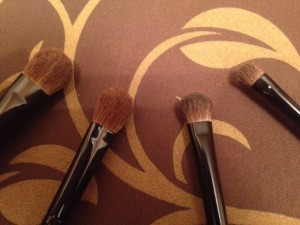 Makeup Brush Set 13