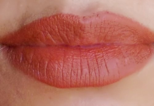 chambor powder matte lipstick saddle brown lip swatch