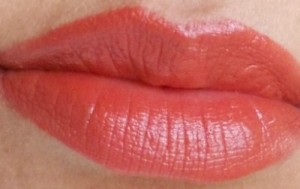 chambor rouge plump+ lipstick 701 lip swatch 1