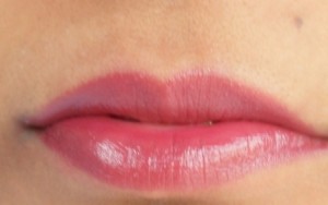 elle 18 color pops lipstick passion plum (6)