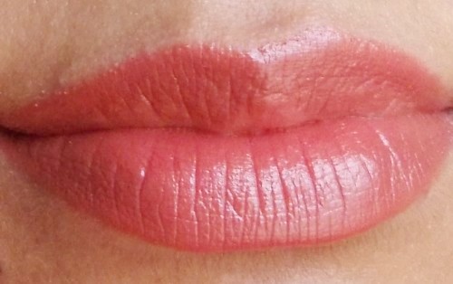 streetwear lusicous lips lip color pink wood lip swatch