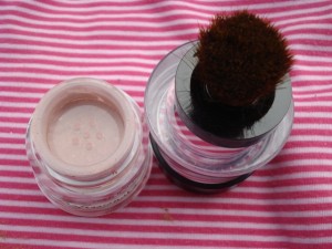 tips & toes pure mineral makeup blush on 5