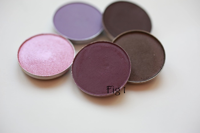 MAC Fig 1 Review