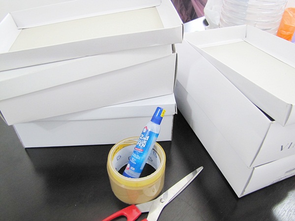 Design Makeup Organizer Drawer Using Shoe Boxes Do It Yourself