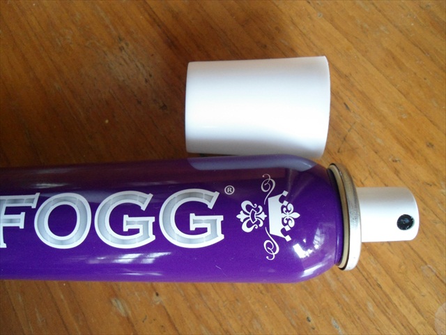 Fogg Fragrant body Spray For women Paradise (4)