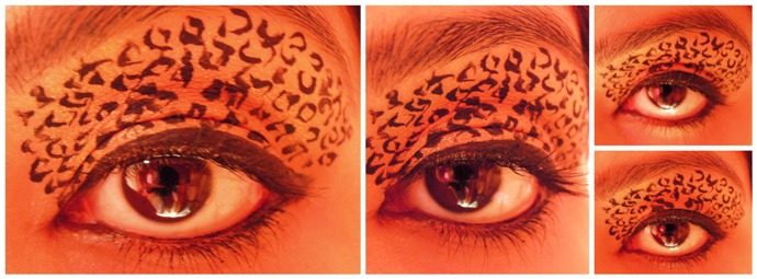 Leopard eyemakeup