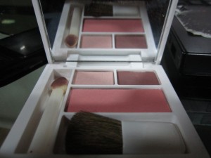 clinique eyeshadow and blush palette rosewine (4)