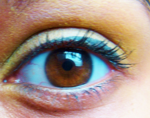 Brown Eye
