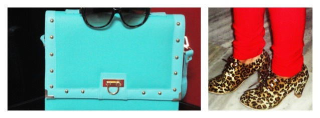 Leopard Print and Turquoise Bag