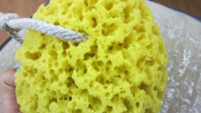 Faces Sea Sponge (3)