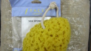 Faces Sea Sponge