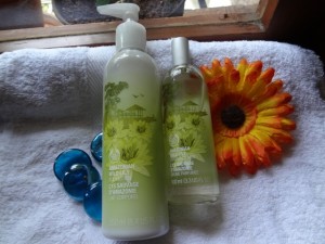 The Body Shop Amazonian Wild Lily Fragrance Mist & body lotion