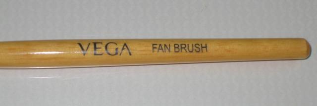 Vega Fan Brush (3)