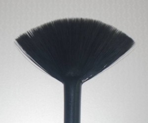 Vega Fan Brush (4)