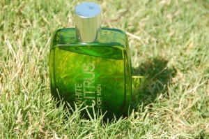 Bath and Body Works White Citrus Cologne for Men (4)