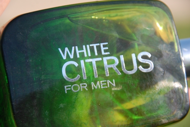 Bath and Body Works White Citrus Cologne for Men (8)