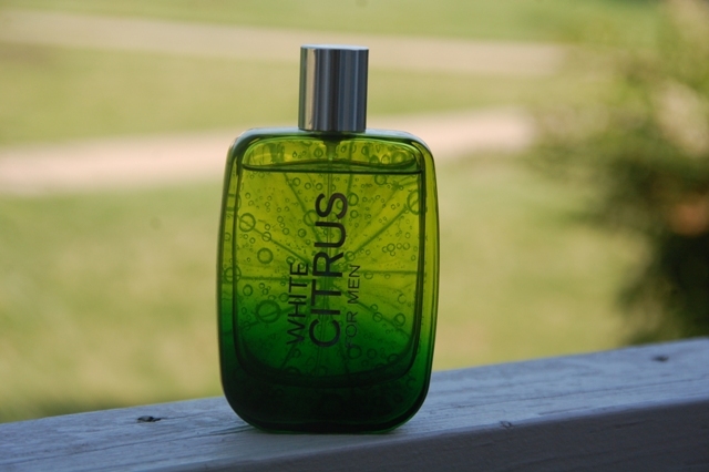 Bath and Body Works White Citrus Cologne for Men