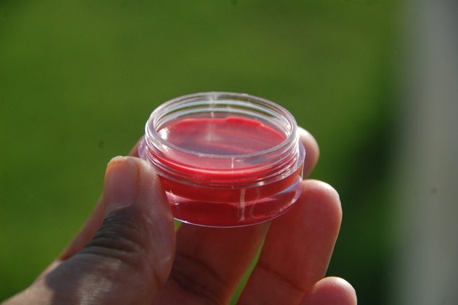 ELF Essential Lip Balm Tint – Grapefruit 9