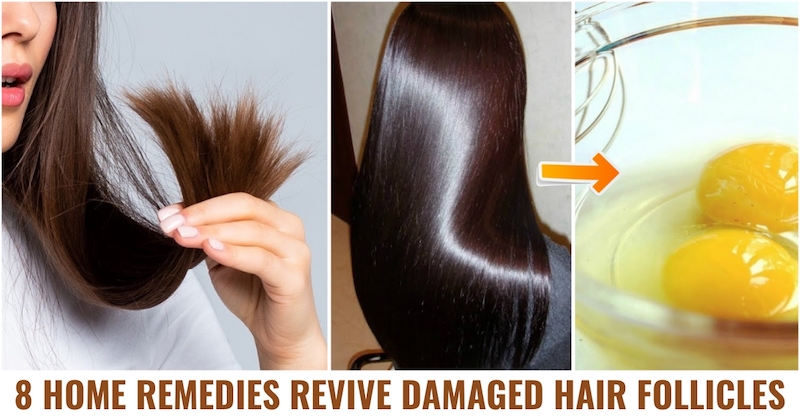 How To Revive Damaged Hair Follicles With Home Remedies