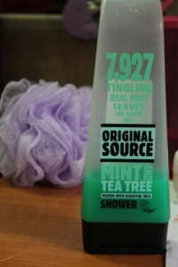 original source mint and tea tree body wash (2)
