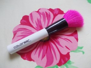 Colorbar Chic Cheeks Contouring Brush (3)