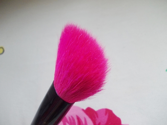 Colorbar Chic Cheeks Contouring Brush (7)