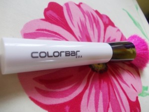 Colorbar Chic Cheeks Contouring Brush (7)